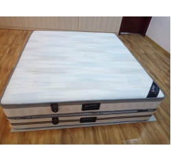 Y8306怡鑫泰（韵美达）